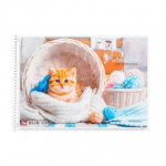 Album for drawing 20 sheets in stock - image-0