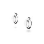 Сережки срібні Коло з монетою - image-0