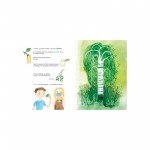 BOOK WHO GROWS IN THE PARK - KATERYNA MIKHALYTSINA OLD LION PUBLISHING HOUSE - image-2