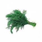 Кріп, 70 г - image-0